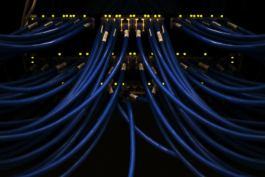Gebündelte blaue Netzwerkkabel im Dunkeln